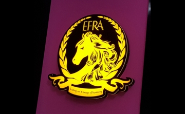 recent-project-img-1